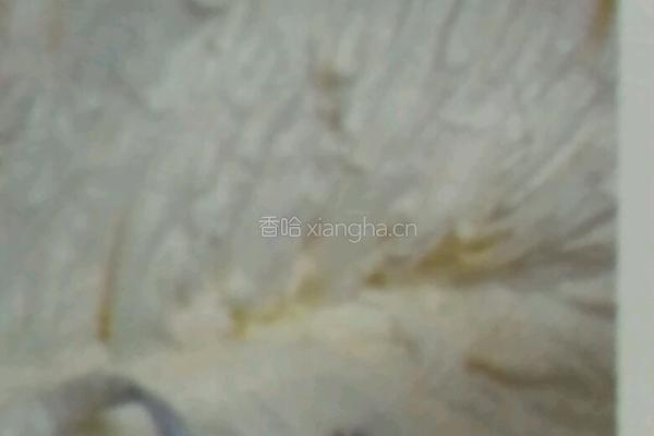 鲜芒果冰淇淋的做法图解5