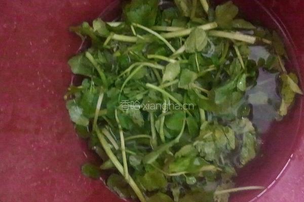 西洋菜大杂汤的做法图解1
