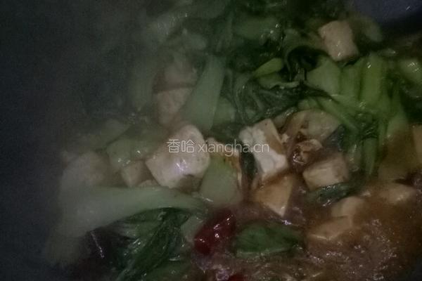 白菜炒豆腐的做法图解6
