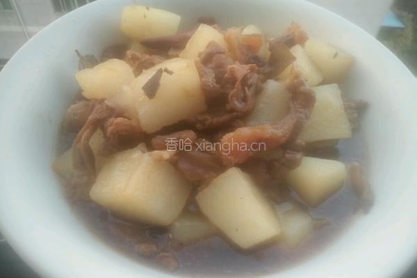 萝卜牛腩煲的做法图解11
