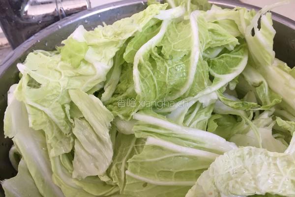 冬日暖阳酸辣白菜的做法图解1