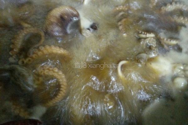 护心肉酱八爪鱼的做法图解9