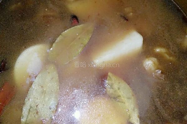 萝卜焖牛腩的做法图解6