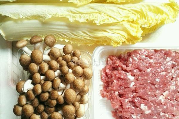 灵芝菇肉丸汤的做法图解1