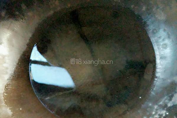椒盐绿豆饼的做法图解4
