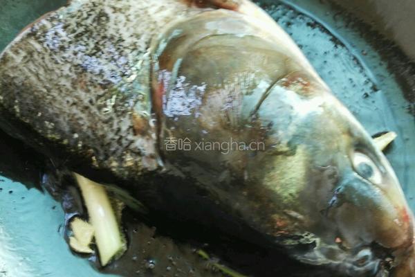鱼头豆腐汤的做法图解4