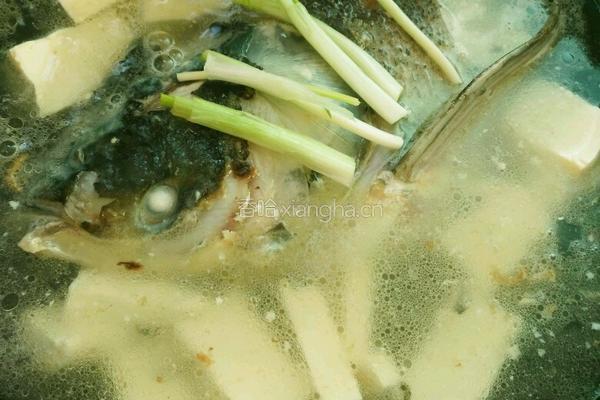 鱼头豆腐汤的做法图解6