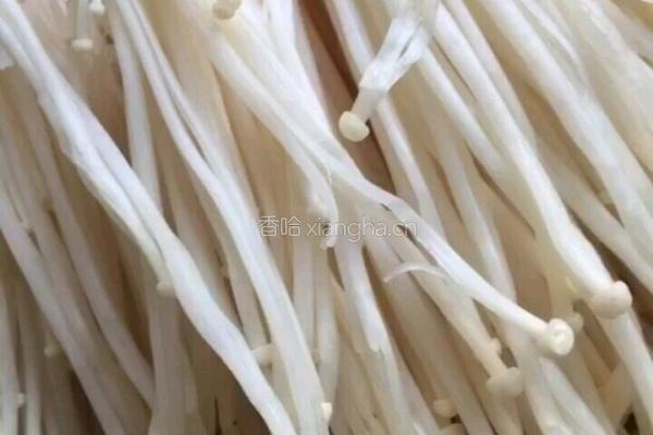 黄瓜金针菇的做法图解3