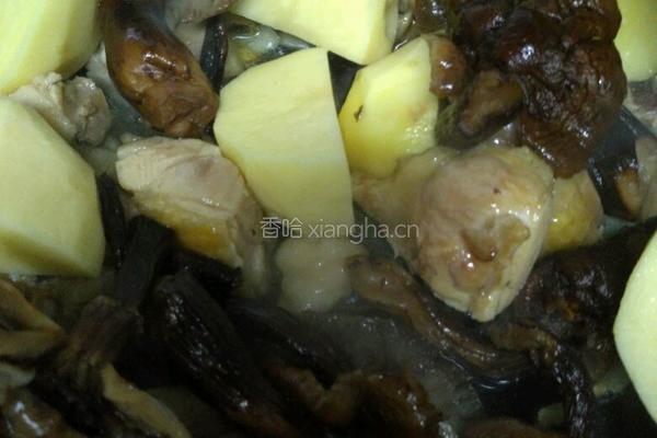 土豆蘑菇炖鸡的做法图解11