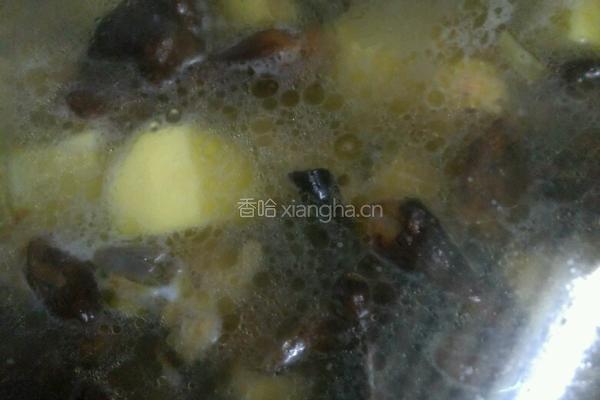 土豆蘑菇炖鸡的做法图解13