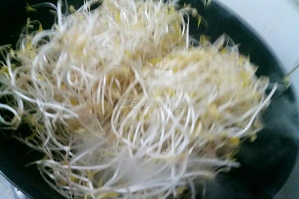 炝炒银芽的做法图解4