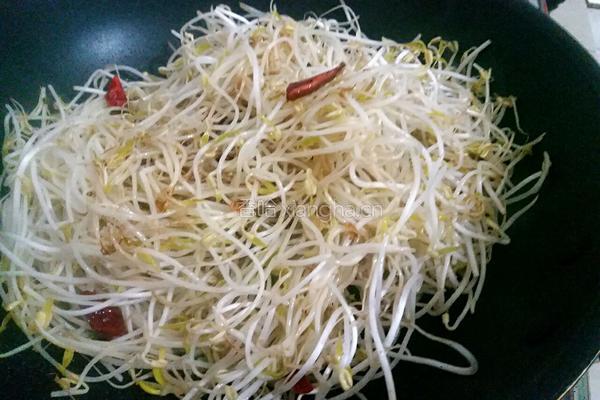 炝炒银芽的做法图解5