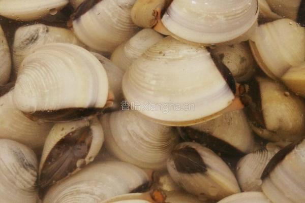 文蛤豆腐汤的做法图解1