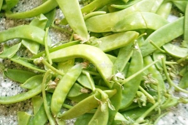 凉拌三样菜的做法图解1