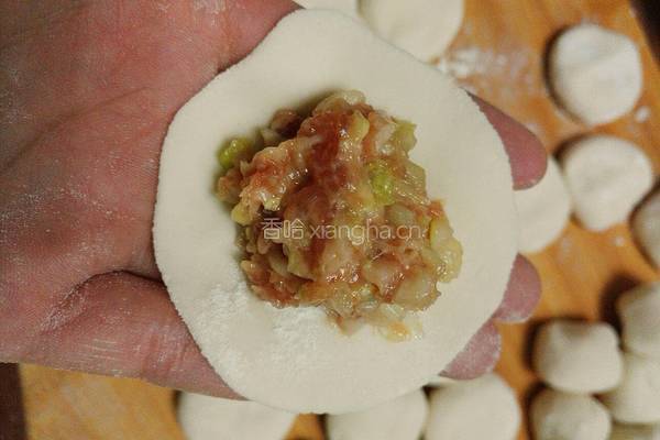 猪肉白菜水饺的做法图解14
