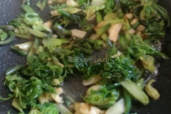 三七芽炒肉末的做法图解4