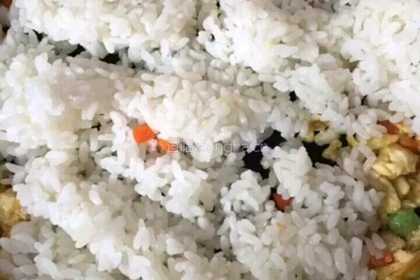 鱿鱼包饭的做法图解5