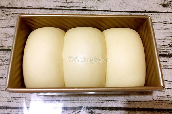 豆浆土司(一次发酵法)的做法图解10