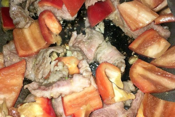 红椒炒肉片的做法图解5