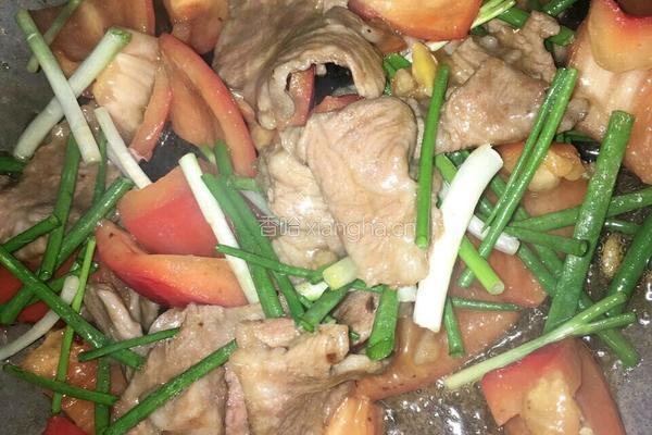 红椒炒肉片的做法图解6