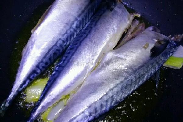 东北蒜蓉辣酱闷鲅鱼的做法图解3