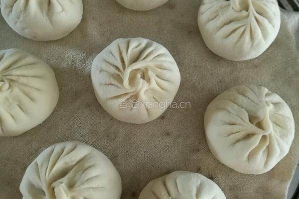 酱肉韭菜包子的做法图解10