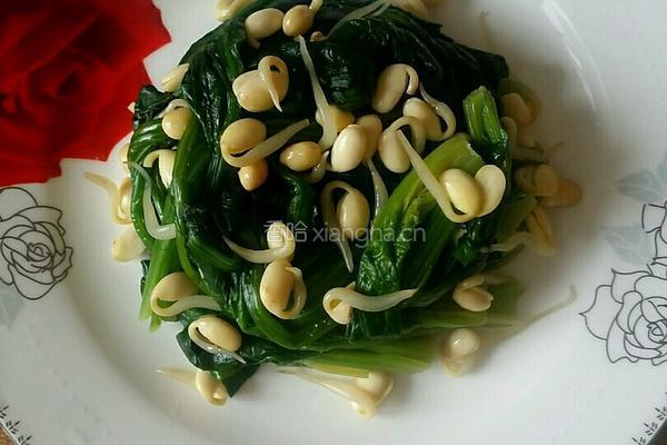凉拌菠菜的做法图解5