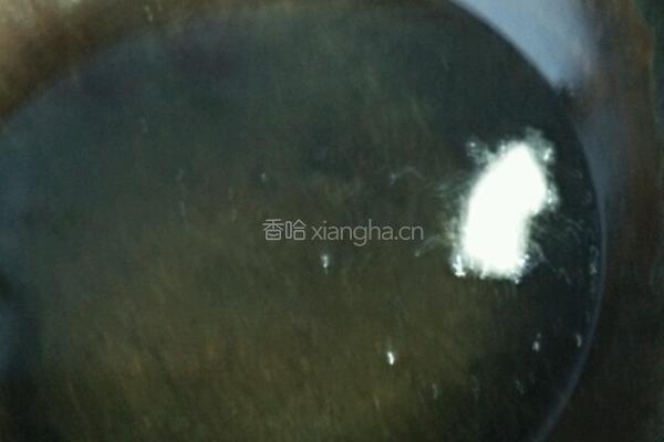 软炸里脊的做法图解6