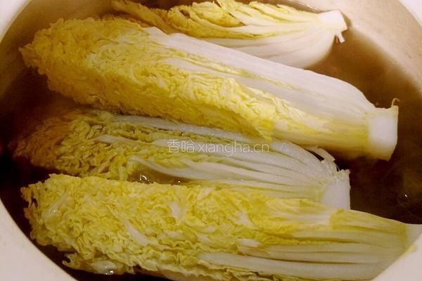 清炖牛肉的汤别浪费了 八叔清水白菜的做法图解6