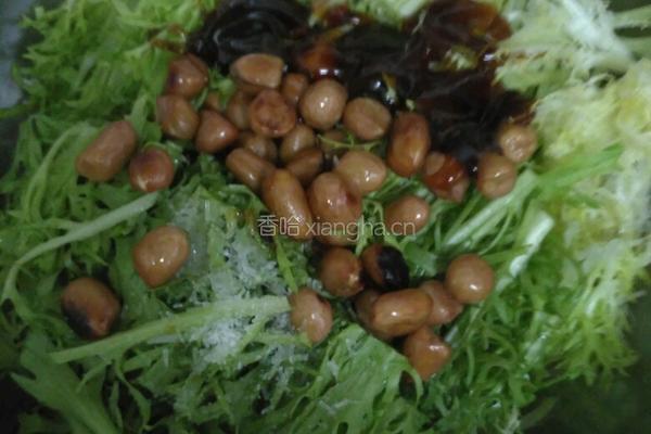 蚝油果仁苦菊的做法图解4