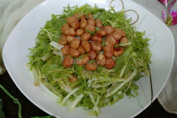 蚝油果仁苦菊的做法图解5