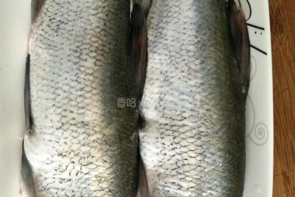 糖醋白鱼的做法图解1