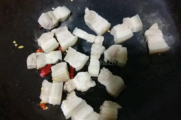 圣诞版南乳红烧肉的做法图解8