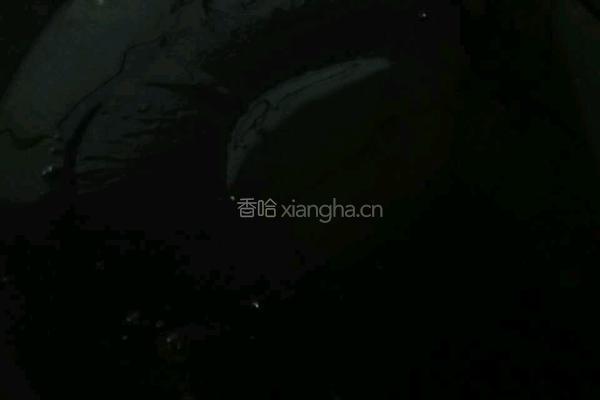 酱汁素萝卜的做法图解6