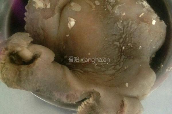 香拌牛脸肉的做法图解1