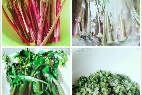 红菜苔大肉水饺的做法图解1