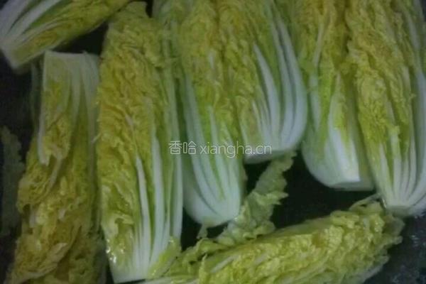 蒜蓉粉丝娃娃菜的做法图解4