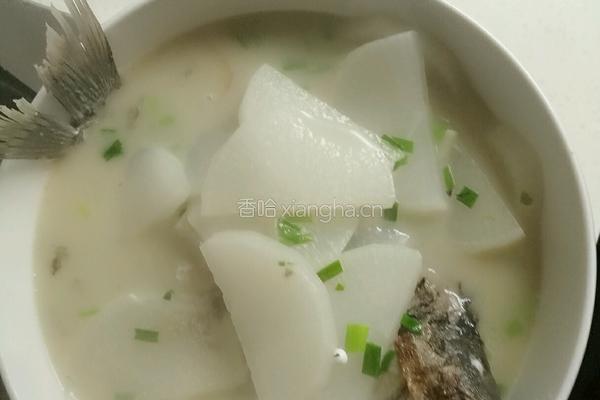 鲫鱼萝卜汤的做法图解5