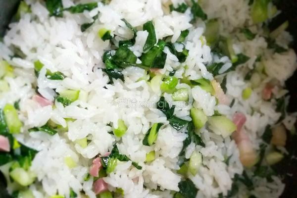 咸肉菜饭的做法图解8