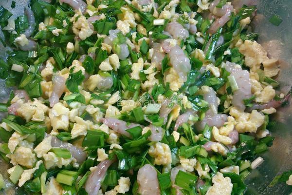 韭菜鸡蛋虾仁饺子馅的做法图解8