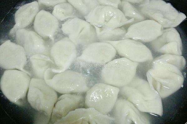 青萝卜猪肉饺子的做法图解9