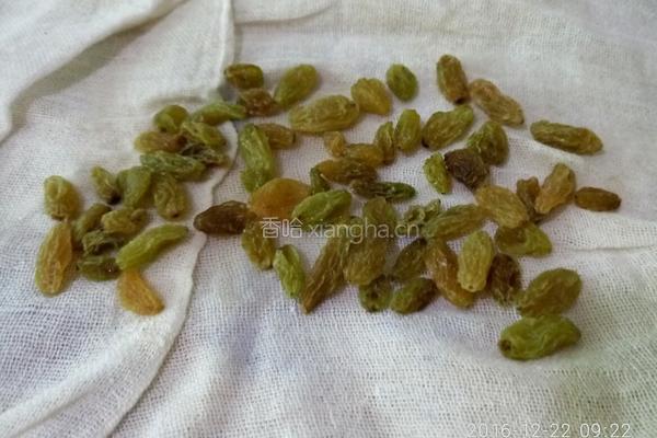 圣诞花环面包（酸奶波兰种）的做法图解9