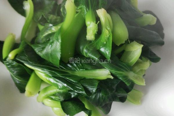 青菜爱上萝卜的做法图解10