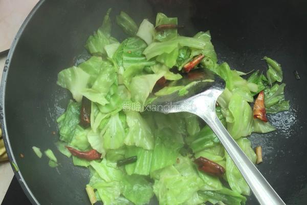 酸辣手撕包菜的做法图解3