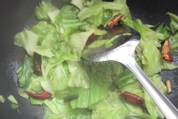酸辣手撕包菜的做法图解4