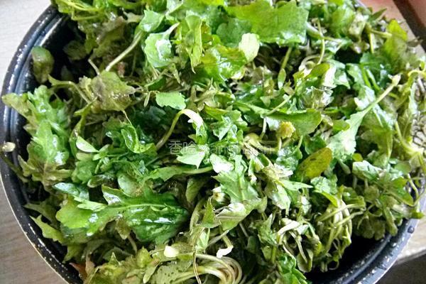 荠菜饺子馅的做法图解2