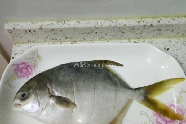 红烧金鲳鱼的做法图解1
