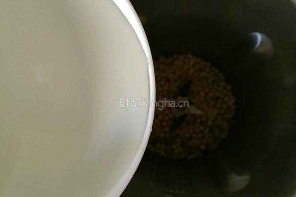 坚果豆浆的做法图解5