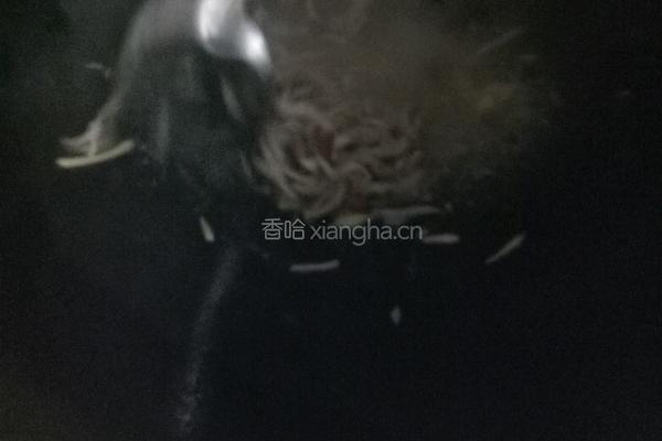 木耳肉丝汤的做法图解4