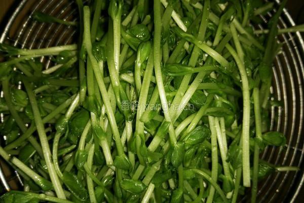 西红柿菌菇豆苗汤的做法图解3